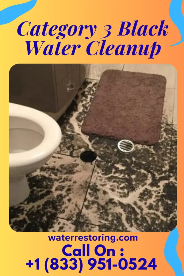 Category 3 Black Water Cleanup in Pennington, NJ